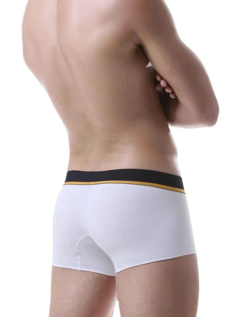 Men's Contrast Panty